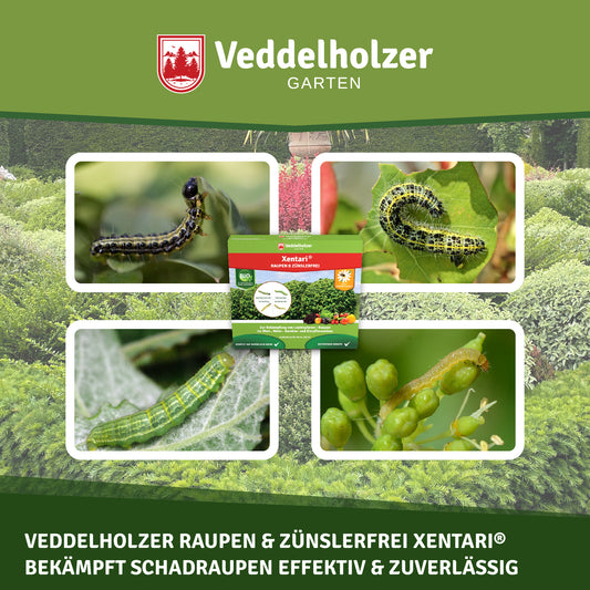 Veddelholzer Xentari Raupenfrei Bio Insektizid – 16 x 2g