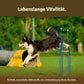 Veddelholzer Hunde Gelenktabletten  Ergänzungsfuttermittel für Hunde