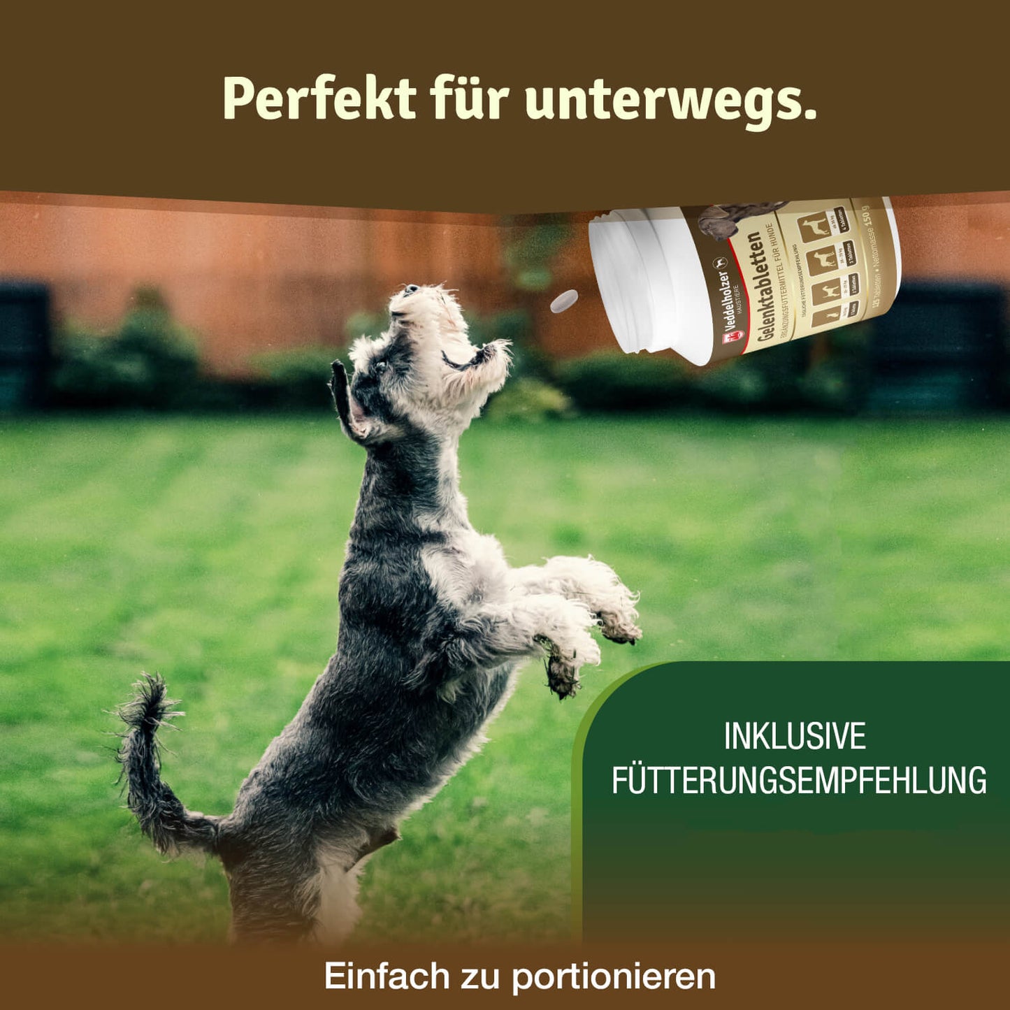 Veddelholzer Hunde Gelenktabletten  Ergänzungsfuttermittel für Hunde