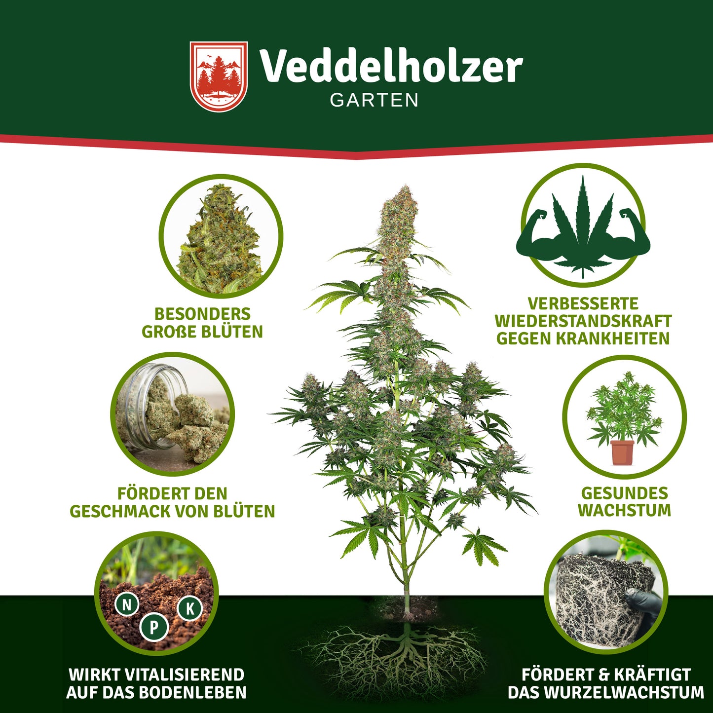 Veddelholzer Cannabis Dünger 500ml – Spezialdünger für Wachstum & Blüte