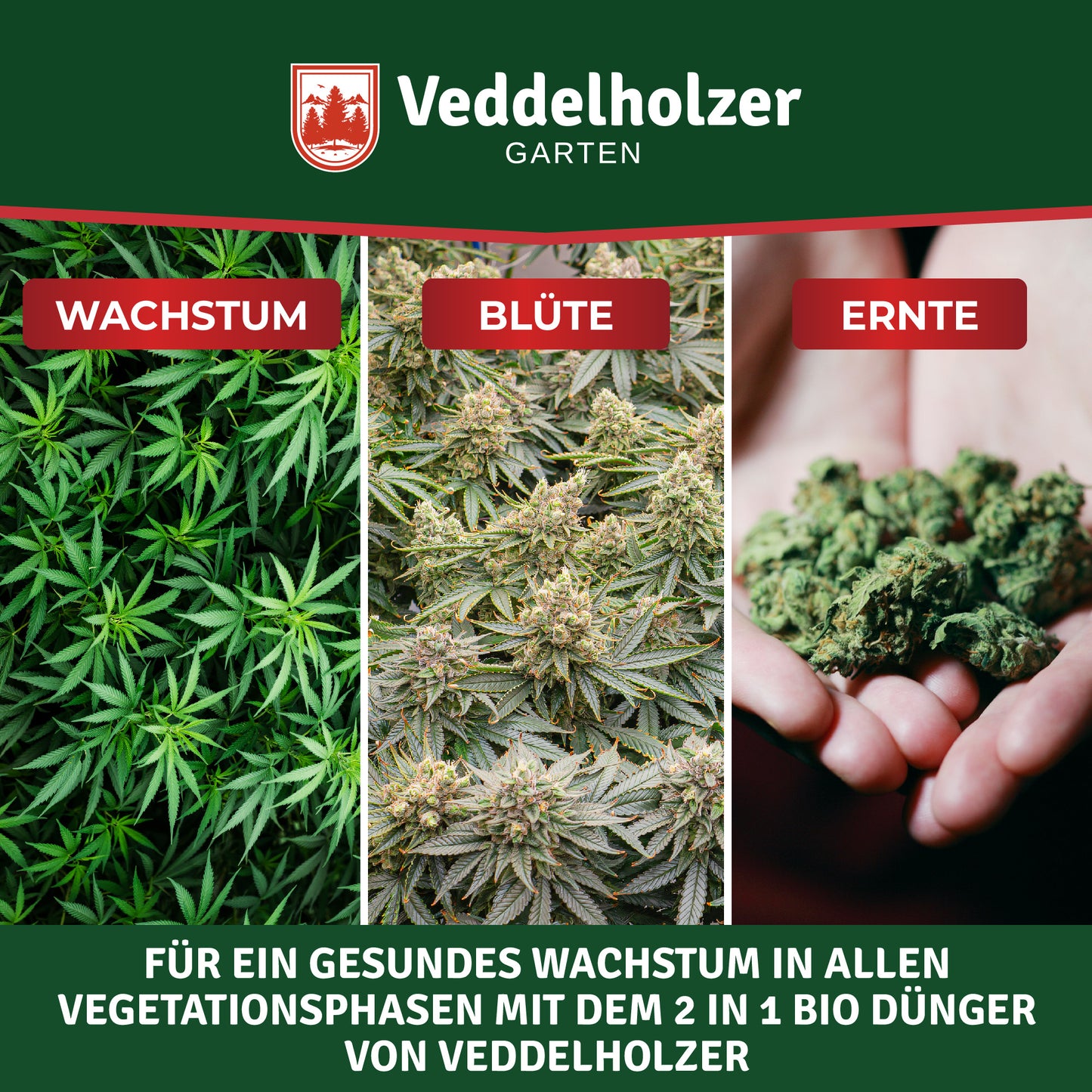 Veddelholzer Cannabis Dünger 500ml – Spezialdünger für Wachstum & Blüte