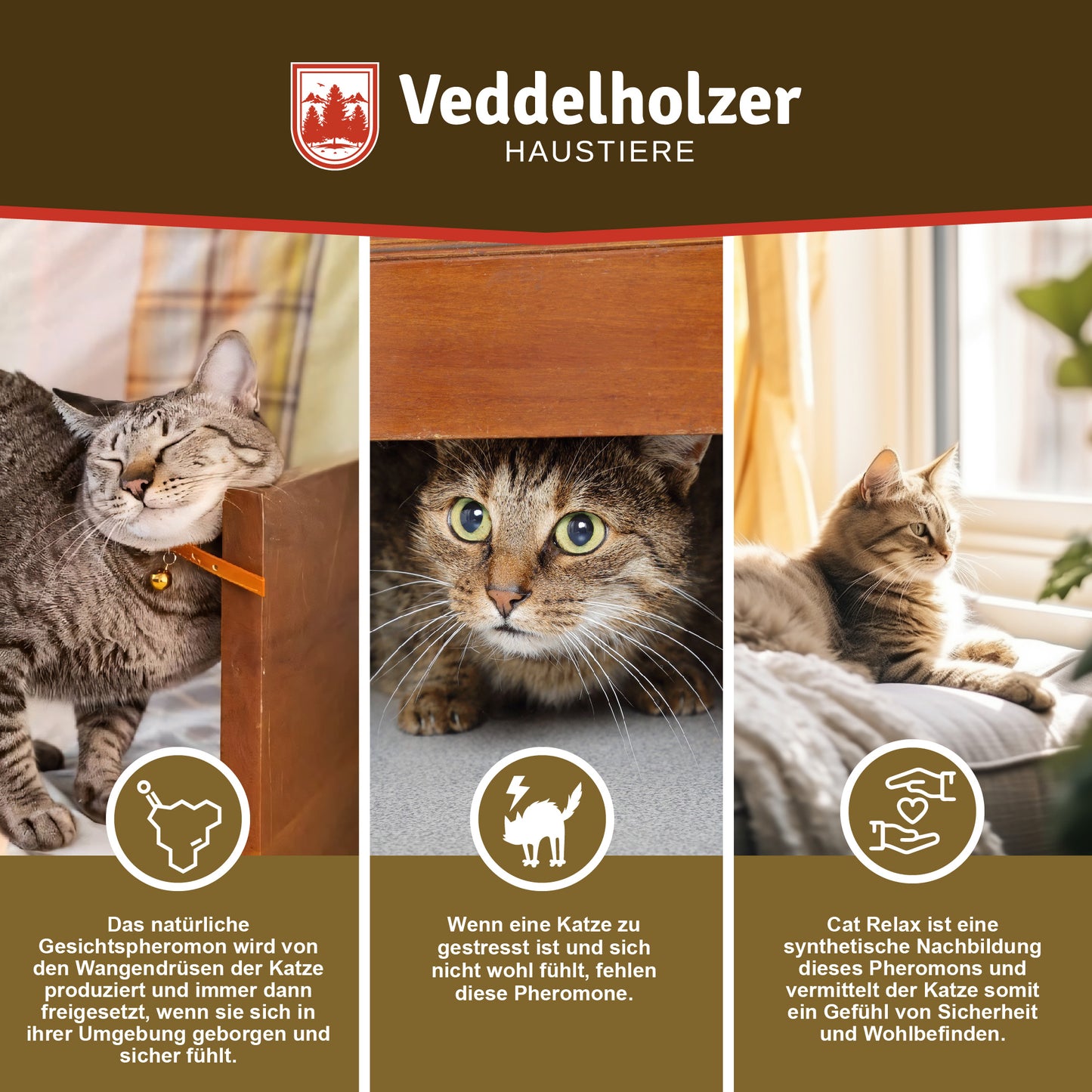 Veddelholzer Katzen Pheromon Diffusor Set – Verdampfer + 48ml Nachfüllflakon