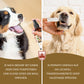 Veddelholzer Probiotisches Dentalspray 150ml Set – für Hunde & Katzen + Fingerzahnbürste