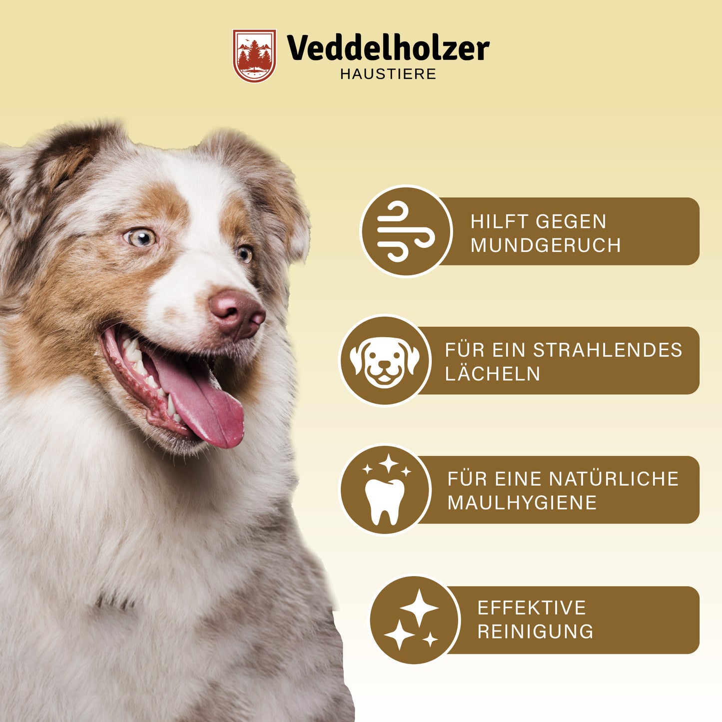 Veddelholzer Probiotisches Dentalspray 150ml Set – für Hunde & Katzen + Fingerzahnbürste