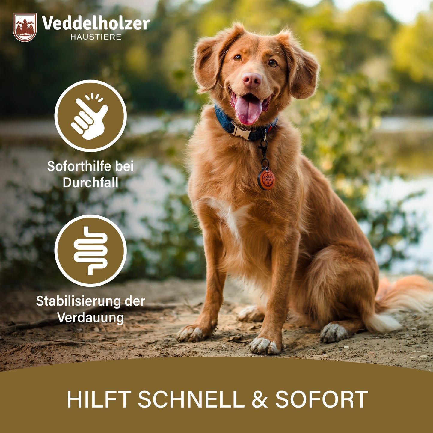 Veddelholzer Diarrhoe Kautabletten 50 Stück – für Hunde & Katzen