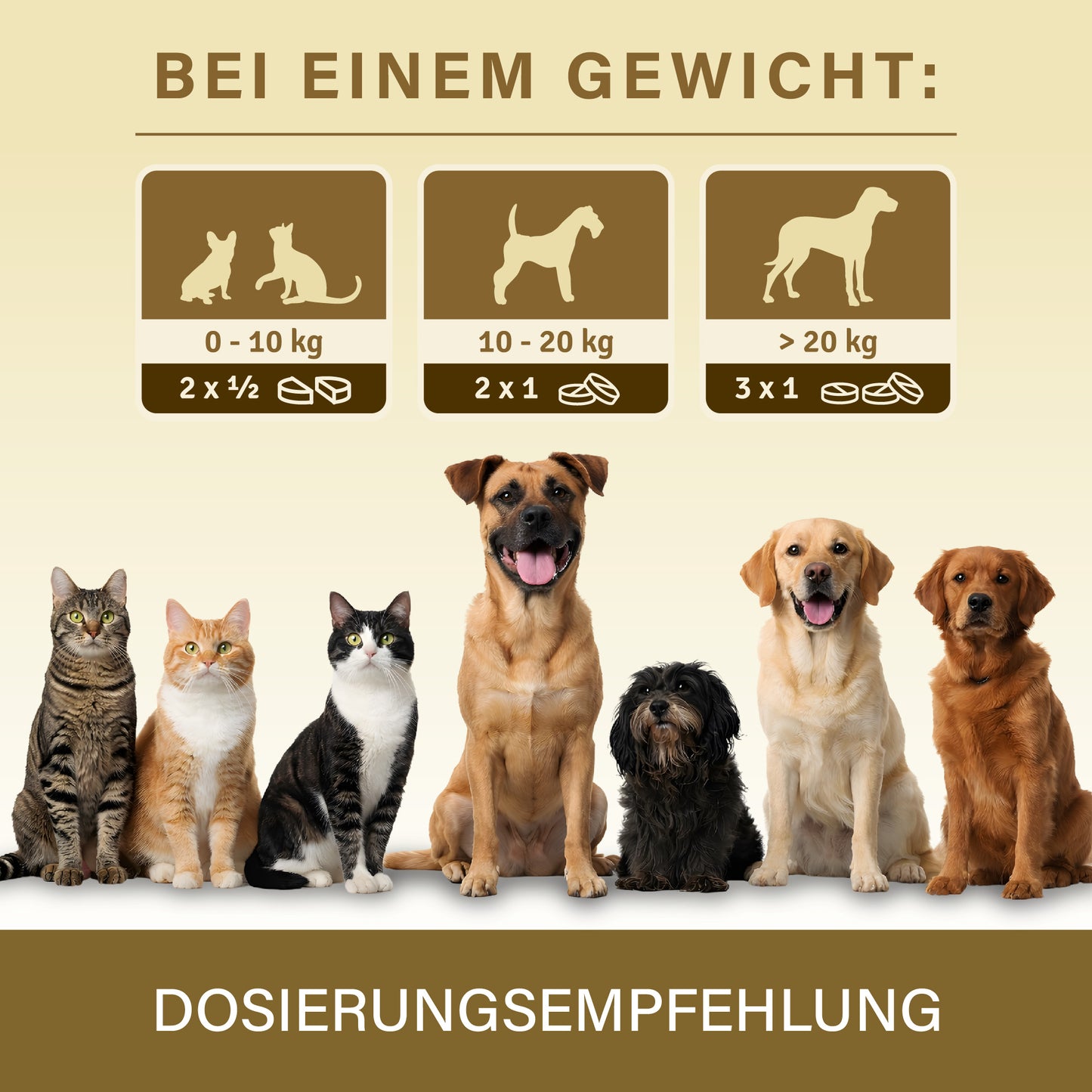 Veddelholzer Diarrhoe Kautabletten 50 Stück – für Hunde & Katzen