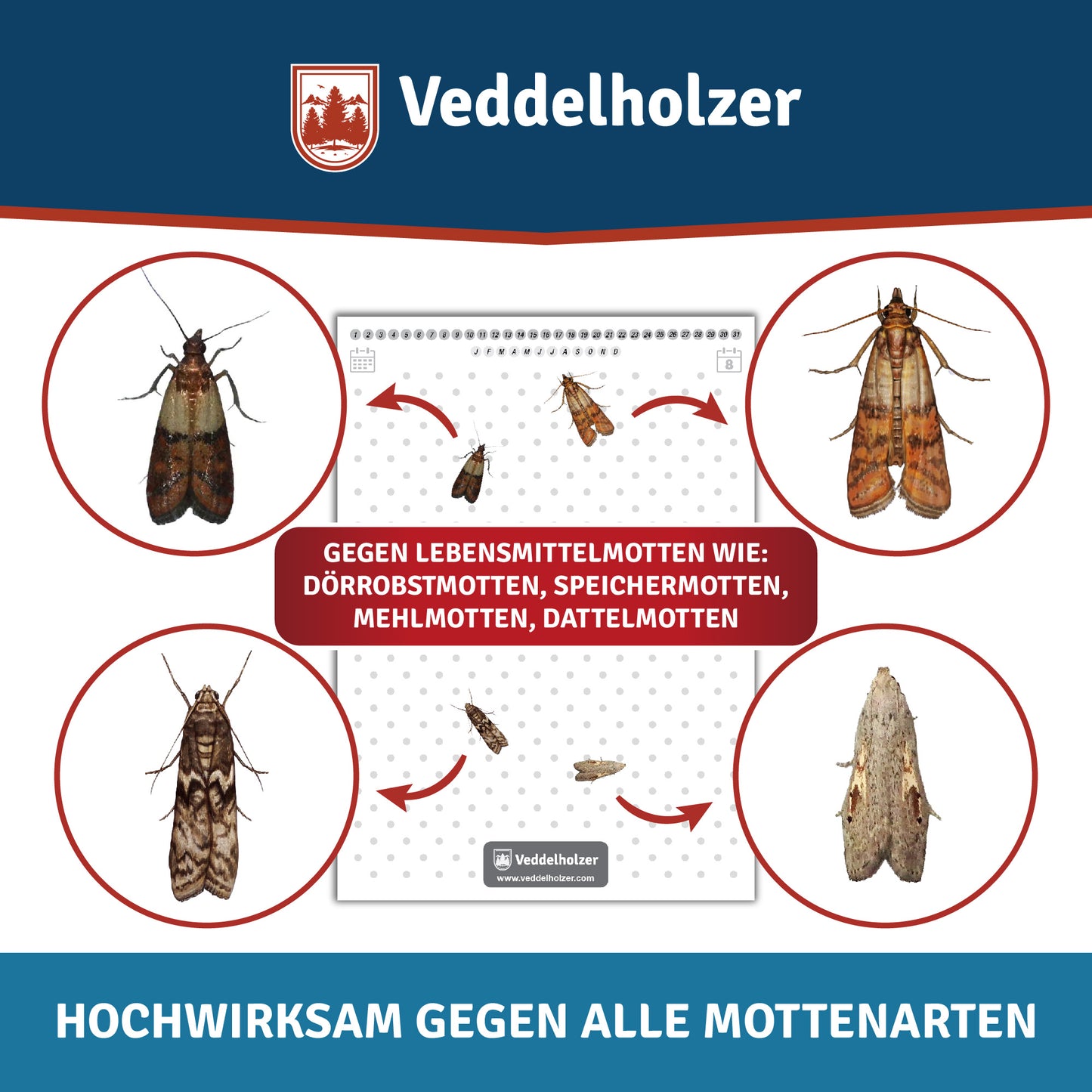 10 food moth traps with pheromone attraction effect