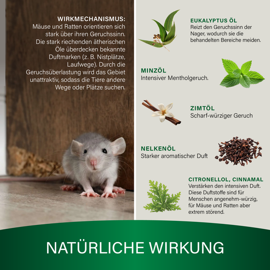 Veddelholzer Mäuseabwehr Set 250ml – natürliches Mittel gegen Mäuse & Ratten