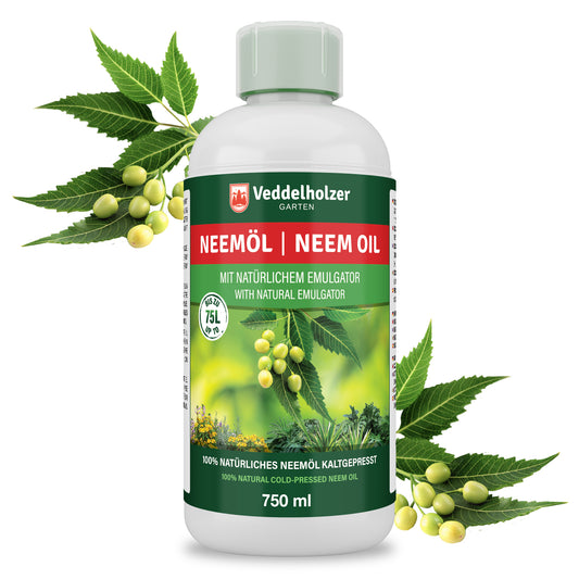 Veddelholzer Neemöl 750ml kaltgepresst – 100% natürlich