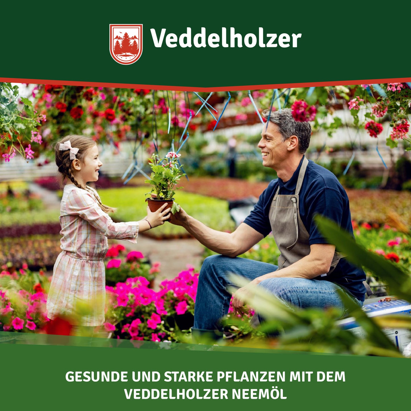 Aceite de neem 100% natural, prensado en frío de primera calidad, de 1000 ml con emulsionante natural + botella con pulverizador de 500 ml y 2 tazas medidoras 