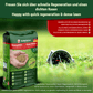 Veddelholzer Rasenpellets Regeneration – Nachsaat & Bodenaktivierung
