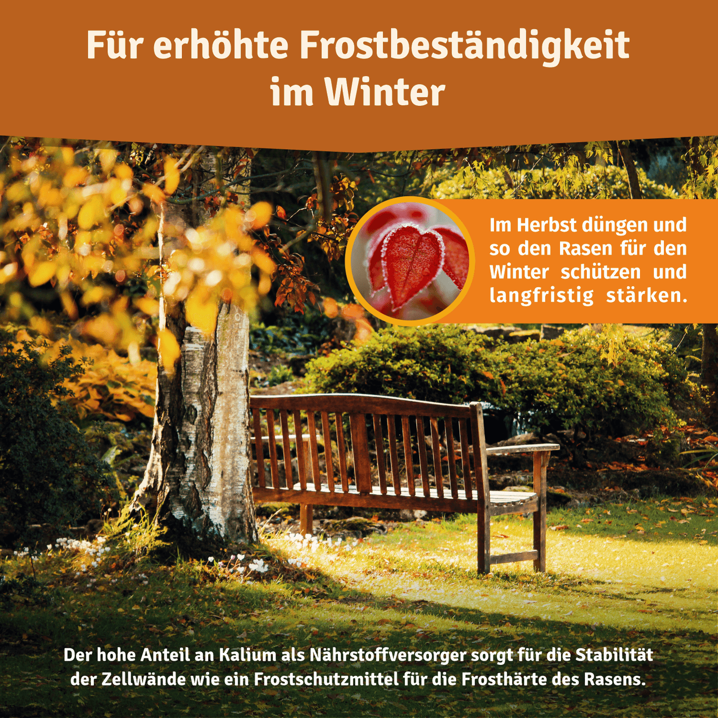 Veddelholzer Bio Herbstrasendünger – Langzeitdünger für Herbst & Winter