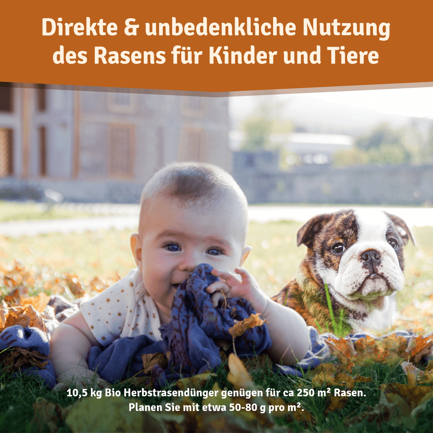 Veddelholzer Bio Herbstrasendünger – Langzeitdünger für Herbst & Winter