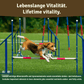 Veddelholzer Grünlippmuschelpulver – für Hunde, Katzen & Pferde (100% rein)