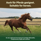 Veddelholzer Grünlippmuschelpulver – für Hunde, Katzen & Pferde (100% rein)
