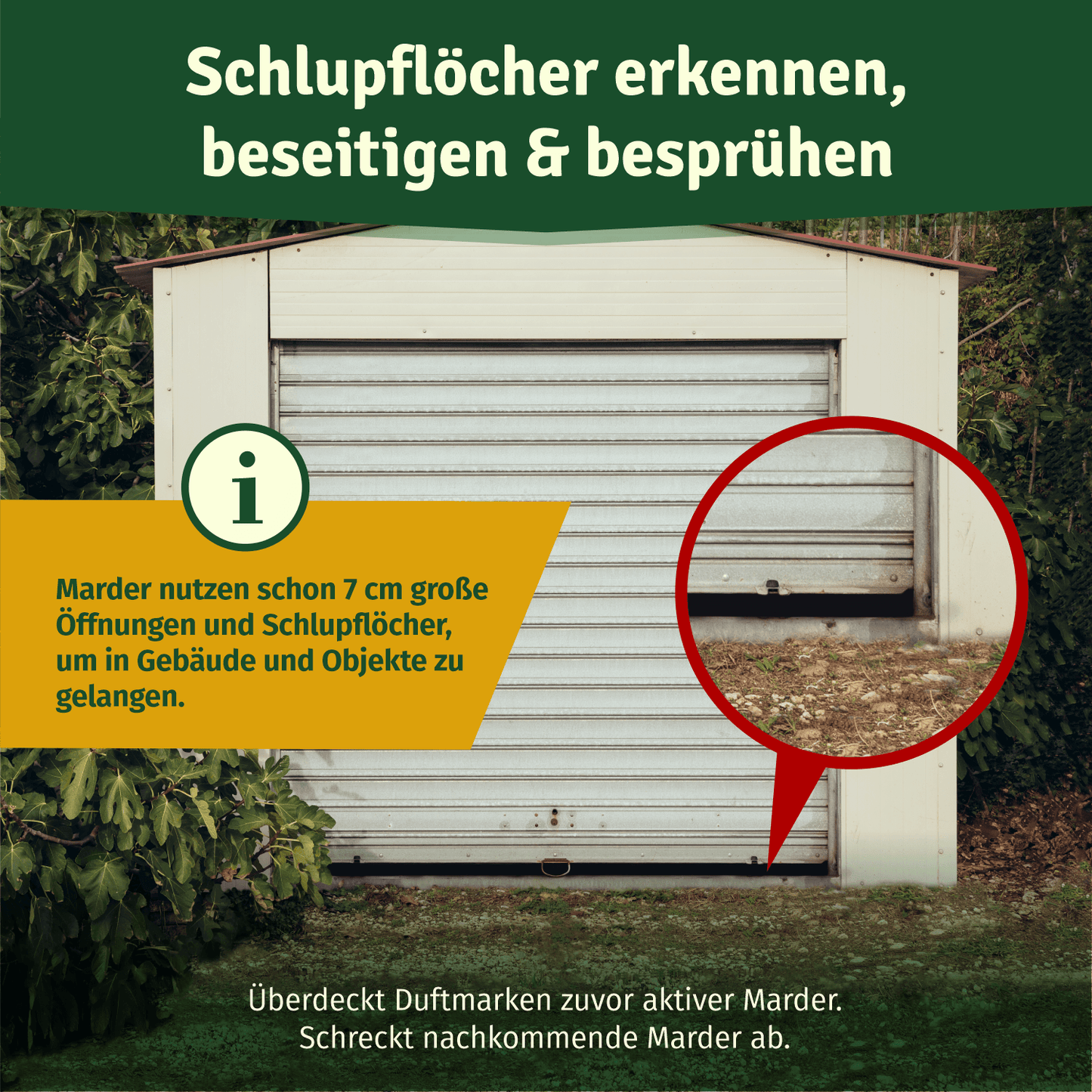 Spray para martas Veddelholzer para coches, áticos y garajes