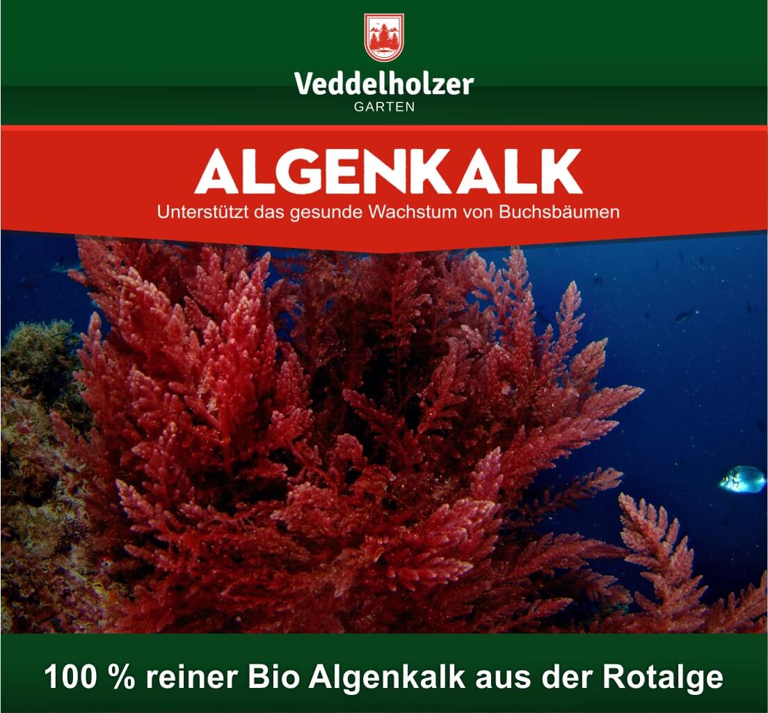 Veddelholzer Bio Algenkalk 6kg – 100% Meeresalgen Pulver (Testsieger 09/2020)